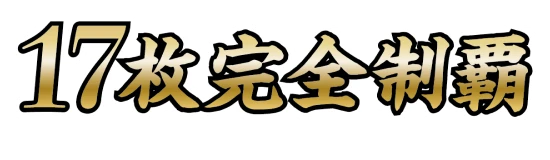 17枚完全制覇